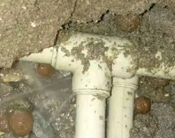 大东测漏水多少钱