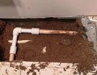 大东测漏水哪家好