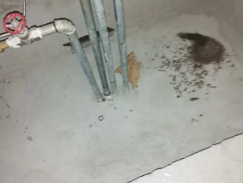 大东卫生间测漏水价格明细