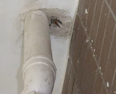 大东漏水检测哪家好